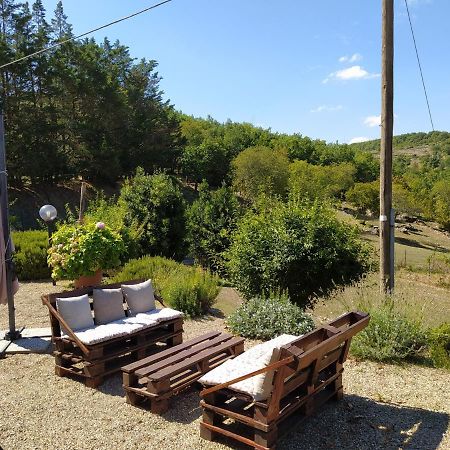 Sandra House Daire Castellina in Chianti Dış mekan fotoğraf