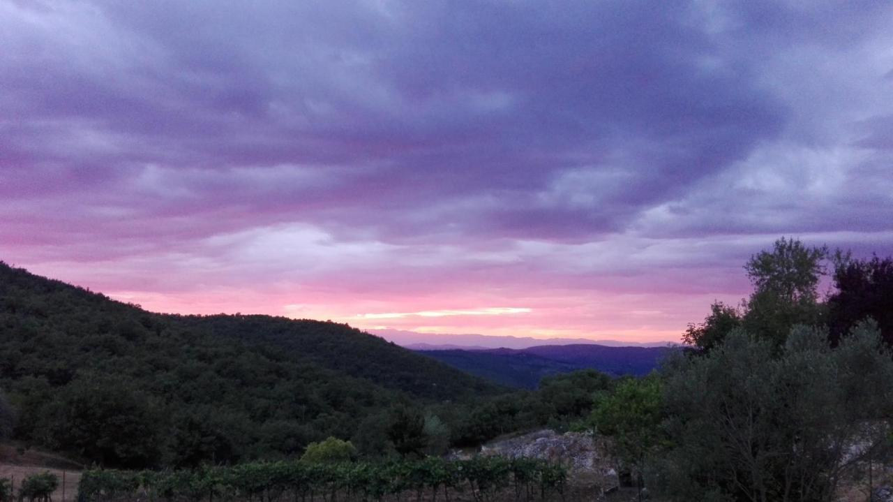 Sandra House Daire Castellina in Chianti Dış mekan fotoğraf
