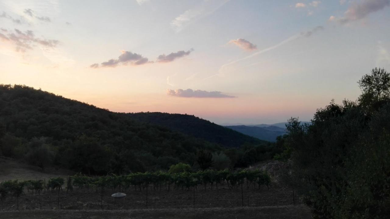 Sandra House Daire Castellina in Chianti Dış mekan fotoğraf