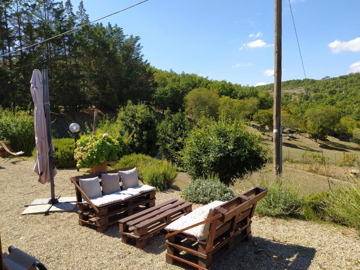Sandra House Daire Castellina in Chianti Dış mekan fotoğraf