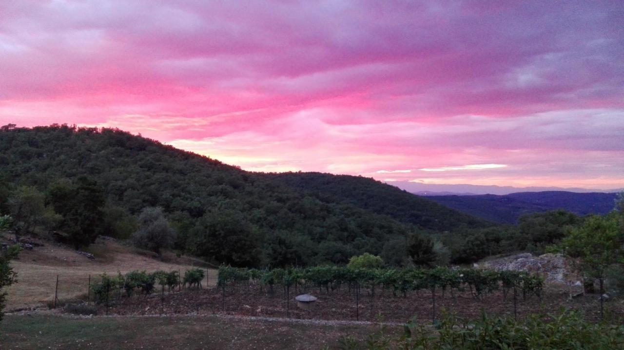 Sandra House Daire Castellina in Chianti Dış mekan fotoğraf