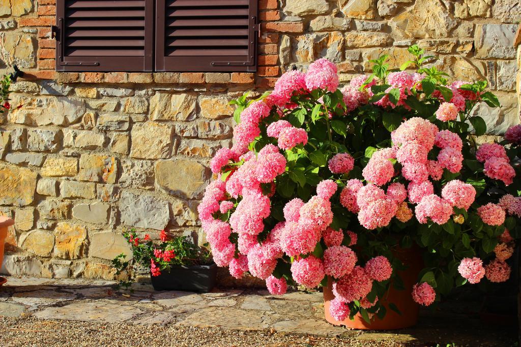 Sandra House Daire Castellina in Chianti Dış mekan fotoğraf