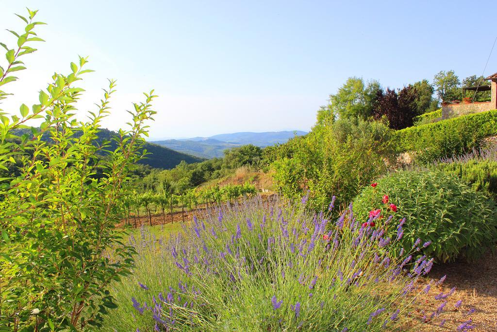 Sandra House Daire Castellina in Chianti Dış mekan fotoğraf